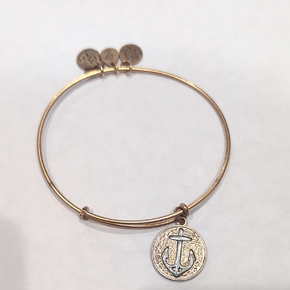 Alex and Ani Gold Anchor Charm Bracelet
